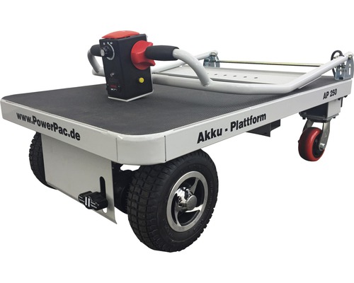Elektro Plattformwagen mit Bedienelement und Rädern