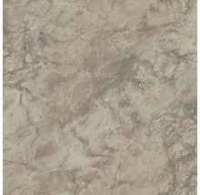 Nahaufnahme einer Arbeitsplatte mit Marmorstruktur