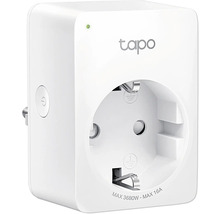 Tapo Logo Intelligente Steckdose