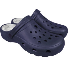 Ein Paar blaue Clogs mit Futter