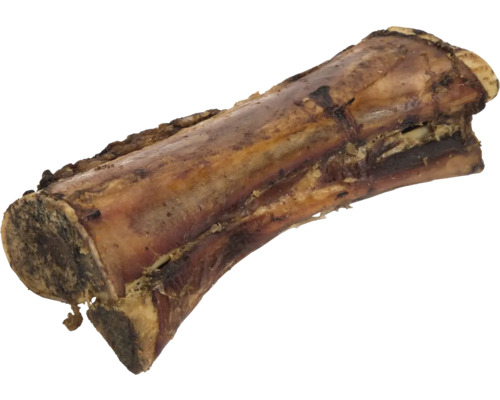 Hundeknochen zum Kauen