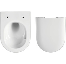 Wandtiefspüler aus Sanitärkeramik mit WC Sitz
