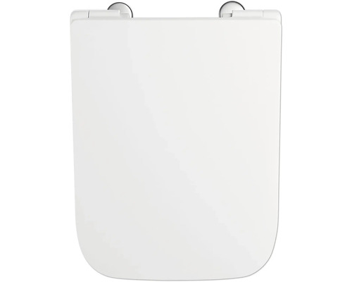 Toilettendeckel aus Kunststoff