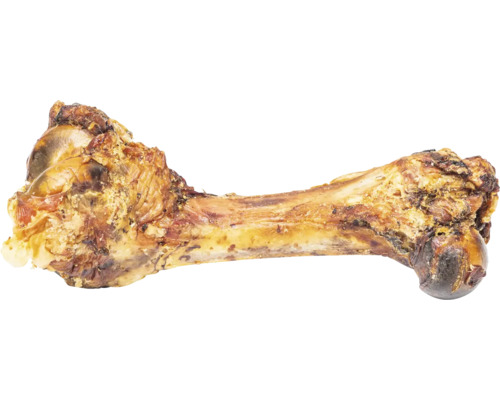 Hundeknochen zum Kauen