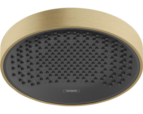 Kopfbrause hansgrohe Rainfinity 250 1jet EcoSmart rund Ø 250 mm brushed bronze gebürstet 26229140 Kopfbrause hansgrohe Rainfinity 250 1jet EcoSmart rund Ø 250 mm brushed bronze gebürstet 26229140