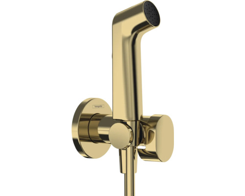 hansgrohe Bidetbrauseset Bidette 1jet S EcoSmart für Warmwasser mit Brausehalter und Brauseschlauch 125 cm polished gold optic 29232990 hansgrohe Bidetbrauseset Bidette 1jet S EcoSmart für Warmwasser mit Brausehalter und Brauseschlauch 125 cm polished gold optic 29232990