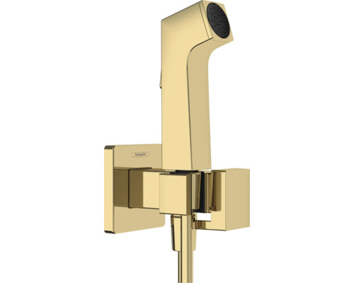 hansgrohe Bidetbrauseset Bidette 1jet E EcoSmart für Warmwasser mit Brausehalter und Brauseschlauch 125 cm polished gold optic 29233990 hansgrohe Bidetbrauseset Bidette 1jet E EcoSmart für Warmwasser mit Brausehalter und Brauseschlauch 125 cm polished gold optic 29233990