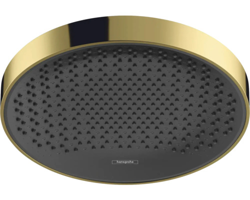 Kopfbrause hansgrohe Rainfinity 250 1jet EcoSmart rund Ø 250 mm polished gold optic 26229990 Kopfbrause hansgrohe Rainfinity 250 1jet EcoSmart rund Ø 250 mm polished gold optic 26229990
