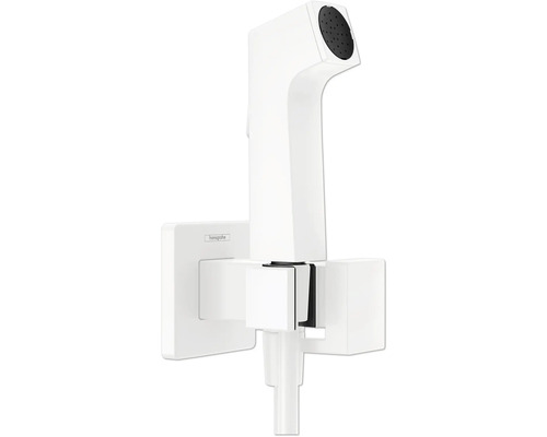 hansgrohe Bidetbrauseset Bidette 1jet E EcoSmart für Warmwasser mit Brausehalter und Brauseschlauch 125 cm weiß matt 29233700