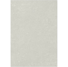 Nahaufnahme einer hellgrauen Wandfliese mit strukturierter Oberfläche.