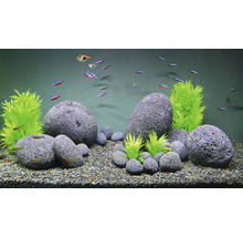 Dekoratives Aquarium mit Fischen, Kies, Steinen und künstlichen Pflanzen