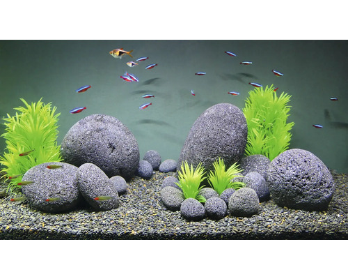 Dekoratives Aquarium mit Fischen, Kies, Steinen und künstlichen Pflanzen