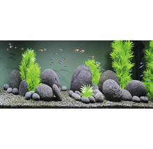 Dekoratives Aquarium mit Steinen, Pflanzen und Fischen für eine lebendige Unterwasserwelt