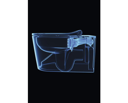 Schema einer Toilette mit Spülkasten