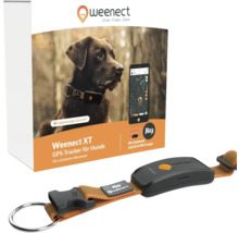Weenect XT GPS Tracker für Hunde mit lebenslanger Garantie und Julius K9 Halsband
