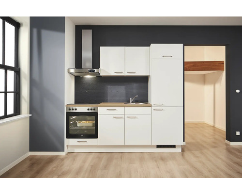 Kompakte Einbauküche mit Spüle, Herd, Dunstabzugshaube und Hängeschränken in einer modern eingerichteten Wohnung.