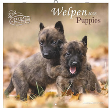 Welpenkalender 2026 mit zwei Welpen