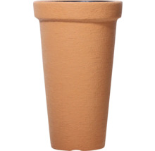 Blumentopf aus Terrakotta