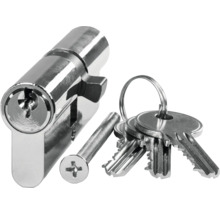 Profilzylinder mit Schraube und Schlüssel