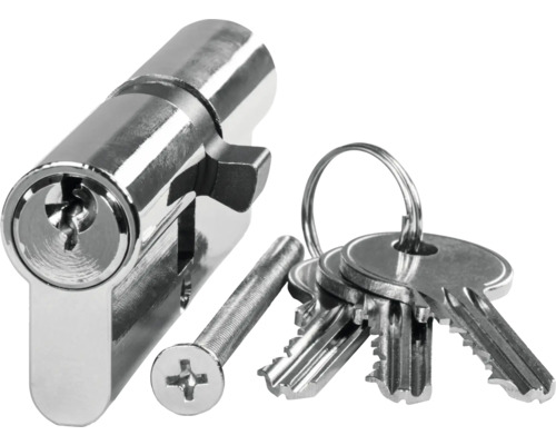 Profilzylinder mit Schlüssel und Schraube