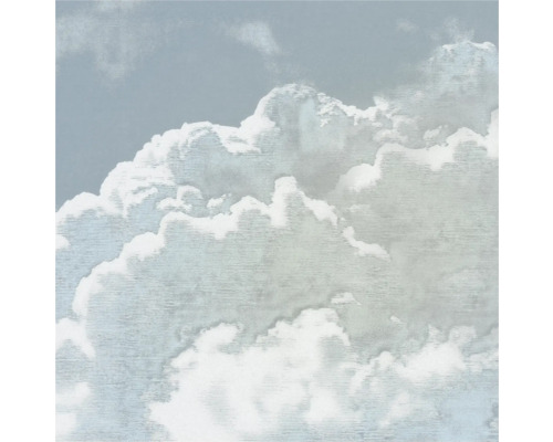 Fototapete Vlies FLX5-050 Vintage Clouds 5-tlg. 250 x 250 cm Wolken Tapete