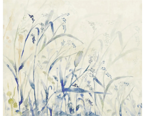 Fototapete Vlies FLX6-043 Aquarel-Field 6-tlg. 250 x 300 cm Illustration von Gräsern auf Tapete