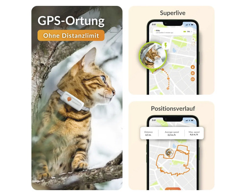 Katze mit GPS Tracker und Smartphone App zur Standortbestimmung ohne Distanzlimit