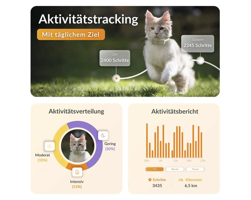 Darstellung der Aktivitätsmessung einer Katze mit dazugehöriger Auswertung als Diagramm