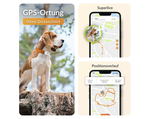 GPS Tracker für Hunde mit Anzeige auf einem Smartphone