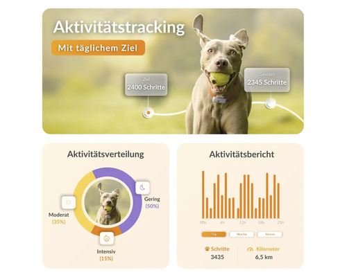 Aktivitätstracking für Hunde mit Tagesziel, Aktivitätsverteilung und Aktivitätsbericht.