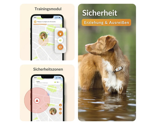 Illustration einer Hundeortung-App mit den Funktionen Trainingsmodul und Sicherheitszonen, sowie eines Hundes mit Tracker im Wasser.