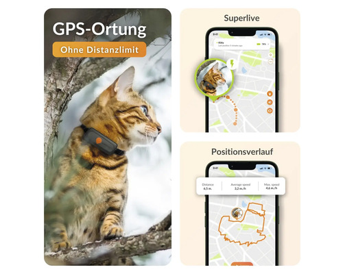 Katze mit GPS Tracker am Halsband und Smartphone-Ansicht der Standortverfolgung