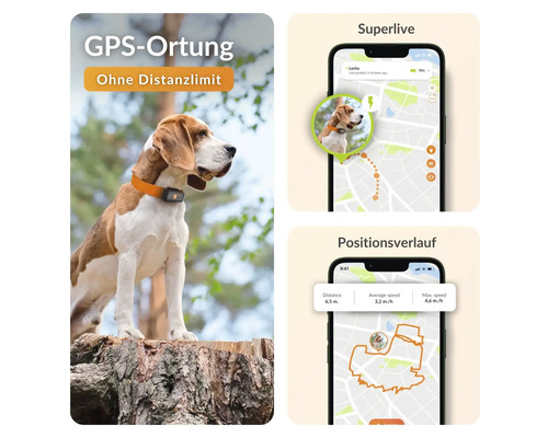 Darstellung eines Hundes mit GPS Tracker und zugehöriger App zur Positionsbestimmung