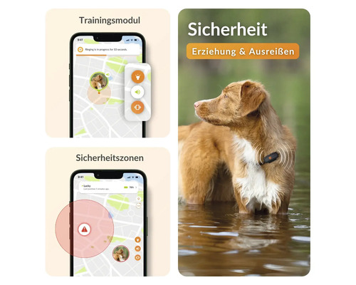 Produktbild mit einem Hund, der ein GPS-Ortungsgerät trägt, um Sicherheit, Erziehung und Ausreißen zu gewährleisten, sowie Screenshots der zugehörigen App mit Trainingsmodul und Sicherheitszonen.