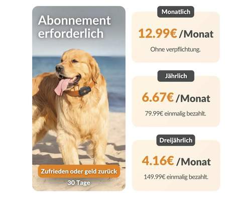 Golden Retriever mit Hundehalsband vor Strand und Abonnementpreisen für ein Hundehalsband