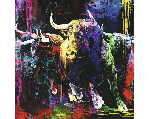 Leinwandbild Original Colourfull Bull Head 40x40 cm