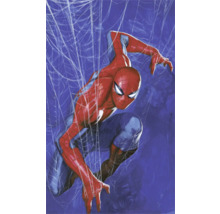 Illustration von Spider-Man vor Spinnennetz