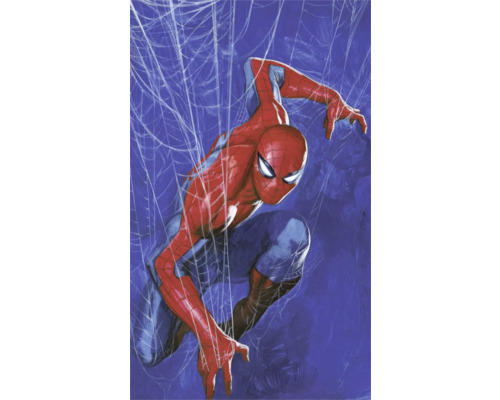 Fototapete Vlies DX3-210 Marvel Spider-Man Spider Web 3-tlg. 250 x 150 cm Illustration von Spider-Man vor Spinnennetz