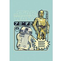 Star Wars Illustration mit C-3PO und R2-D2