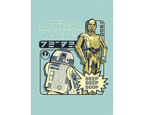 Star Wars Illustration mit C-3PO und R2-D2