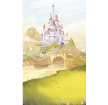 Illustration eines Schlosses auf einem Hügel mit einem Fluss und einer Brücke