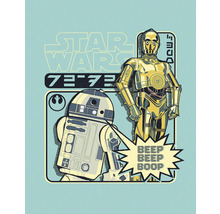 Star Wars Illustration mit R2-D2 und C-3PO