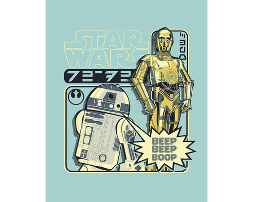 Star Wars Illustration mit R2-D2 und C-3PO
