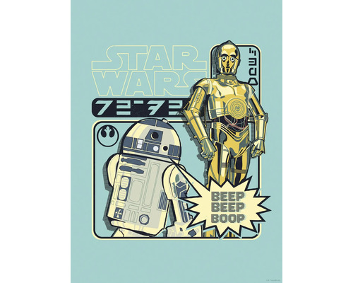 Star Wars Illustration mit R2-D2 und C-3PO