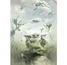 Gemälde von Baby Yoda mit fliegenden Fröschen und Raumschiffen
