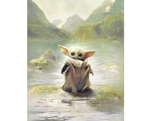 Fototapete Vlies DX4-211 Star Wars Mandalorian Grogu 4-tlg. 250 x 200 cm Gemälde von Baby Yoda auf einem Felsen im Wasser vor Berglandschaft.