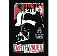 Darth Vader Poster mit dem Zitat: Dark Lord of the Sith