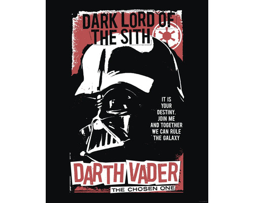Darth Vader Plakat mit dem Schriftzug Dunkler Lord der Sith