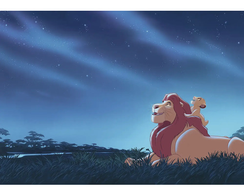 Fototapete Vlies DX7-197 Disney Lion King Stargazing 7-tlg. 250 x 350 cm Illustration mit einem liegenden Löwen und einem Löwenjungen unter einem Sternenhimmel