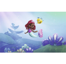 Illustration einer Meerjungfrau mit Fischfreund in einer Unterwasserwelt